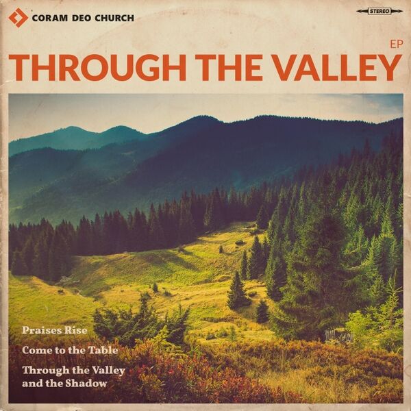 Cover art for Through the Valley